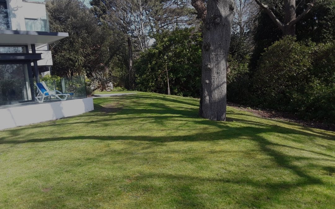 Which Garden Features Add The Most Value To Your Home?